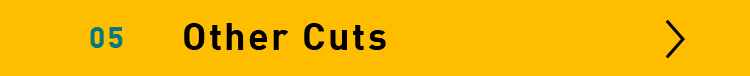 Other Cuts