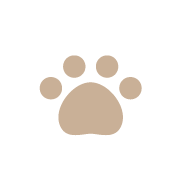 フォト部門アニマル賞アイコン