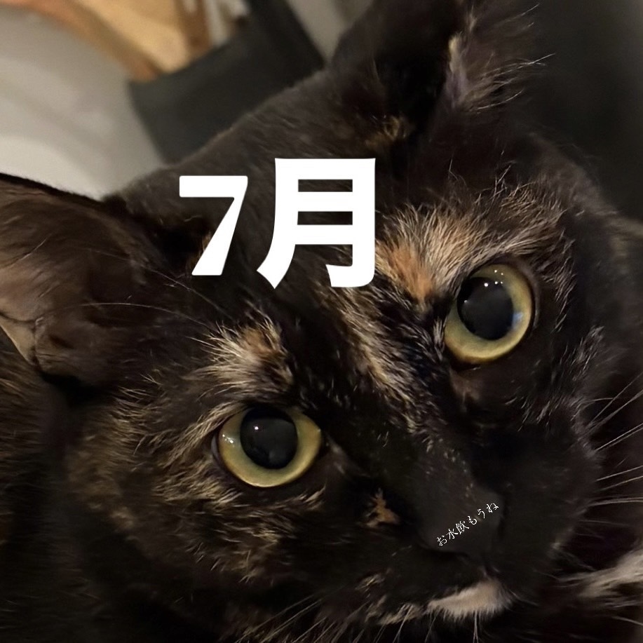 7月更新分